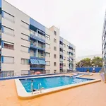 Locos Costa Blanca Apartmán Torrevieja